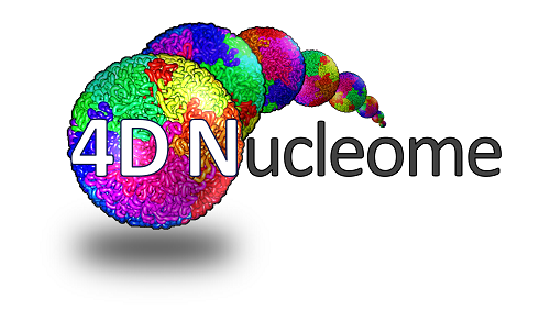4D Nucleome 4D Nucleome